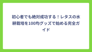 初心者でも絶対成功する！レタスの水耕栽培を100均グッズで始める完全ガイド