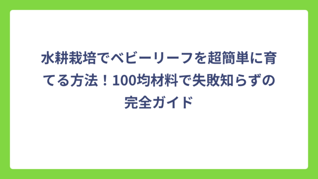 水耕栽培でベビーリーフを超簡単に育てる方法！100均材料で失敗知らずの完全ガイド