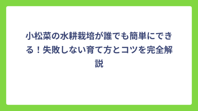 小松菜の水耕栽培が誰でも簡単にできる！失敗しない育て方とコツを完全解説