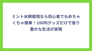 ミント水耕栽培なら初心者でもめちゃくちゃ簡単！100均グッズだけで香り豊かな生活が実現