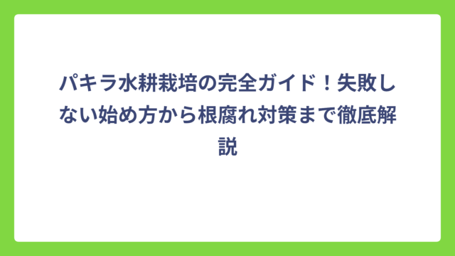 パキラ水耕栽培の完全ガイド！失敗しない始め方から根腐れ対策まで徹底解説