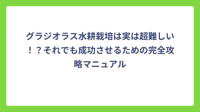 グラジオラス水耕栽培は実は超難しい！？それでも成功させるための完全攻略マニュアル