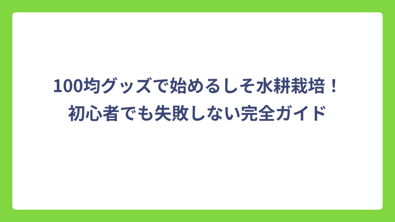 100均グッズで始めるしそ水耕栽培！初心者でも失敗しない完全ガイド