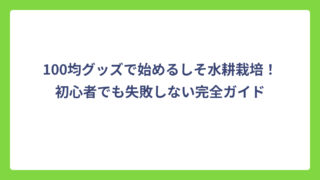 100均グッズで始めるしそ水耕栽培！初心者でも失敗しない完全ガイド