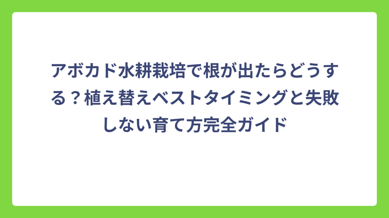 アボカド水耕栽培で根が出たらどうする？植え替えベストタイミングと失敗しない育て方完全ガイド