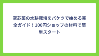 空芯菜の水耕栽培をバケツで始める完全ガイド！100円ショップの材料で簡単スタート