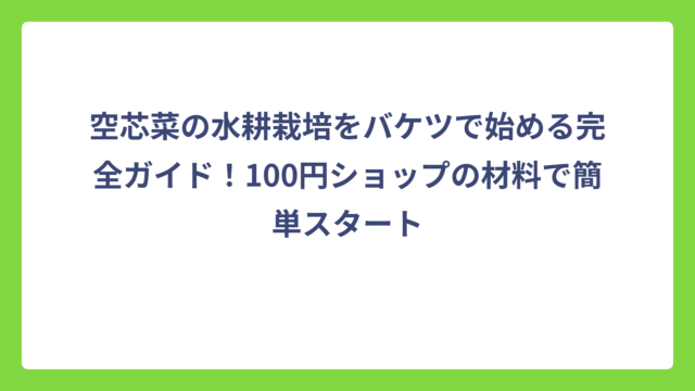 空芯菜の水耕栽培をバケツで始める完全ガイド！100円ショップの材料で簡単スタート