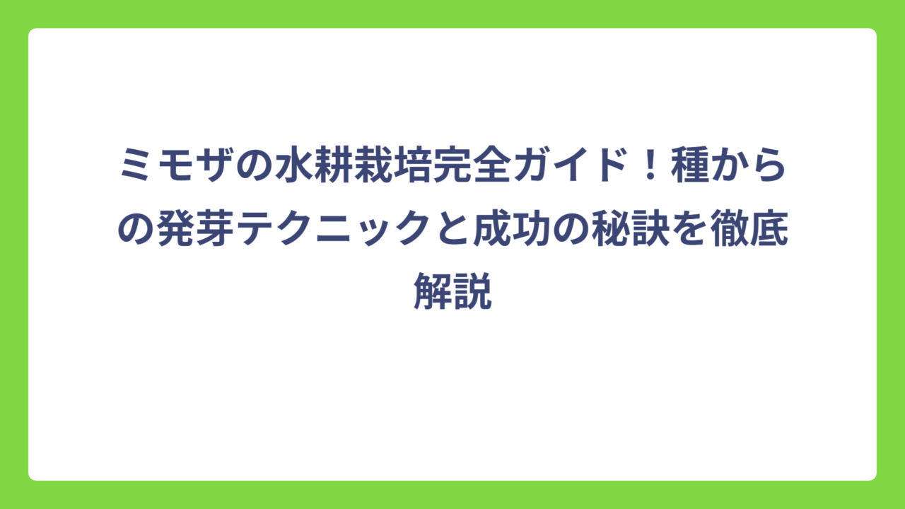 ミモザの水耕栽培完全ガイド！種からの発芽テクニックと成功の秘訣を徹底解説