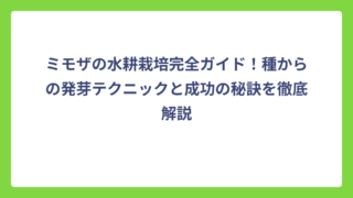 ミモザの水耕栽培完全ガイド！種からの発芽テクニックと成功の秘訣を徹底解説