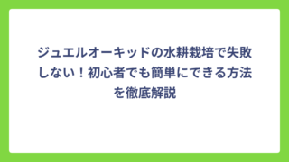 ジュエルオーキッドの水耕栽培で失敗しない！初心者でも簡単にできる方法を徹底解説
