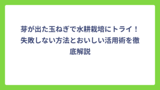 芽が出た玉ねぎで水耕栽培にトライ！失敗しない方法とおいしい活用術を徹底解説