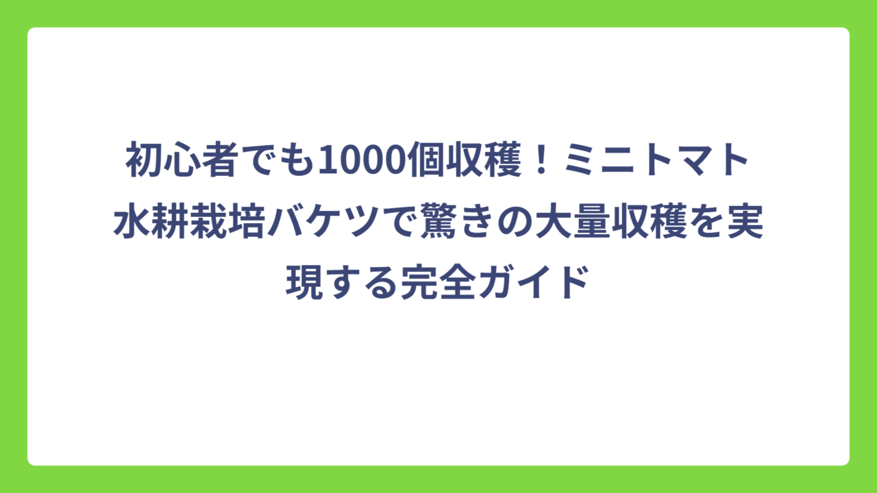 初心者でも1000個収穫！ミニトマト水耕栽培バケツで驚きの大量収穫を実現する完全ガイド