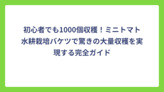 初心者でも1000個収穫！ミニトマト水耕栽培バケツで驚きの大量収穫を実現する完全ガイド
