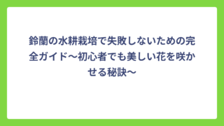 鈴蘭の水耕栽培で失敗しないための完全ガイド〜初心者でも美しい花を咲かせる秘訣〜