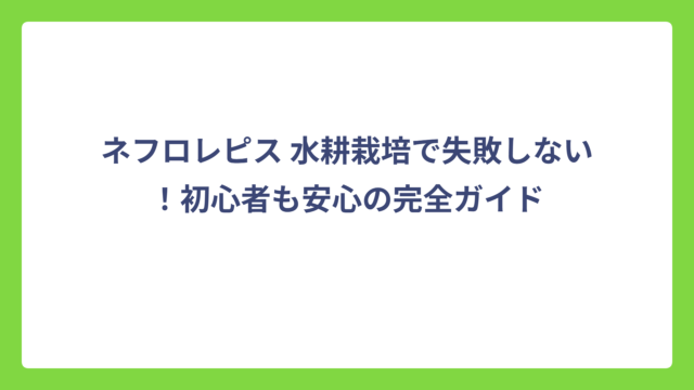ネフロレピス 水耕栽培で失敗しない！初心者も安心の完全ガイド