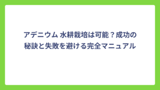 アデニウム 水耕栽培は可能？成功の秘訣と失敗を避ける完全マニュアル