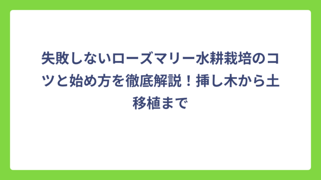 失敗しないローズマリー水耕栽培のコツと始め方を徹底解説！挿し木から土移植まで