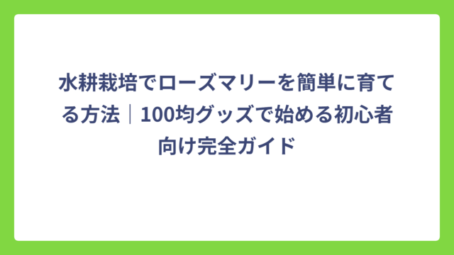 水耕栽培でローズマリーを簡単に育てる方法｜100均グッズで始める初心者向け完全ガイド