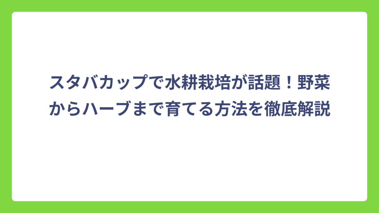 スタバカップで水耕栽培が話題！野菜からハーブまで育てる方法を徹底解説
