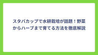 スタバカップで水耕栽培が話題！野菜からハーブまで育てる方法を徹底解説