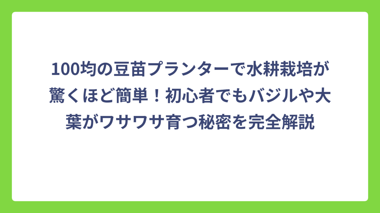 100均の豆苗プランターで水耕栽培が驚くほど簡単！初心者でもバジルや大葉がワサワサ育つ秘密を完全解説