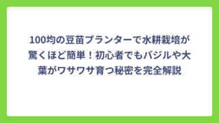100均の豆苗プランターで水耕栽培が驚くほど簡単！初心者でもバジルや大葉がワサワサ育つ秘密を完全解説