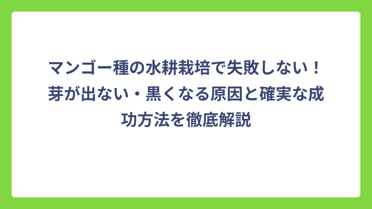 マンゴー種の水耕栽培で失敗しない！芽が出ない・黒くなる原因と確実な成功方法を徹底解説