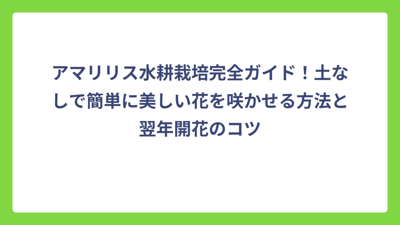 アマリリス水耕栽培完全ガイド！土なしで簡単に美しい花を咲かせる方法と翌年開花のコツ