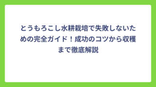 とうもろこし水耕栽培で失敗しないための完全ガイド！成功のコツから収穫まで徹底解説