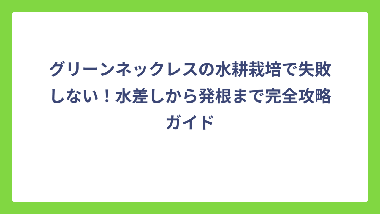 グリーンネックレスの水耕栽培で失敗しない！水差しから発根まで完全攻略ガイド