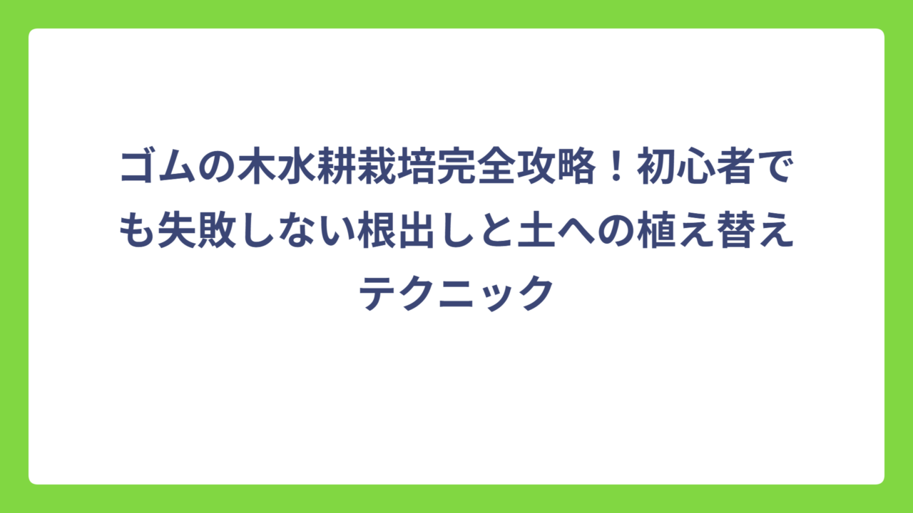 ゴムの木水耕栽培完全攻略！初心者でも失敗しない根出しと土への植え替えテクニック