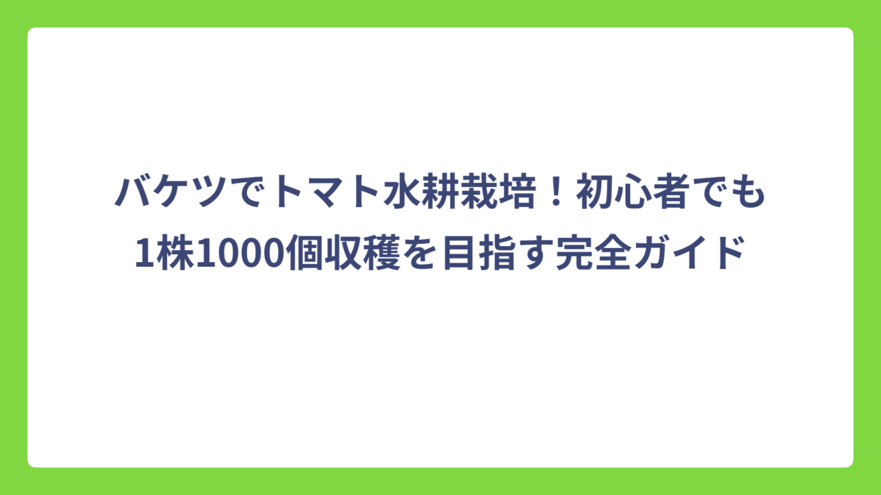 バケツでトマト水耕栽培！初心者でも1株1000個収穫を目指す完全ガイド