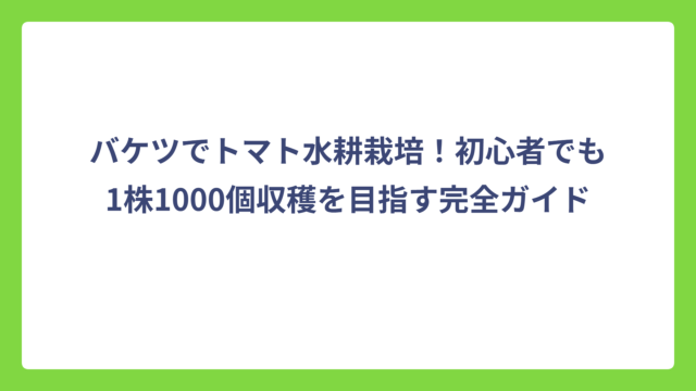 バケツでトマト水耕栽培！初心者でも1株1000個収穫を目指す完全ガイド