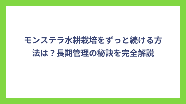 モンステラ水耕栽培をずっと続ける方法は？長期管理の秘訣を完全解説
