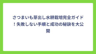 さつまいも芽出し水耕栽培完全ガイド！失敗しない手順と成功の秘訣を大公開