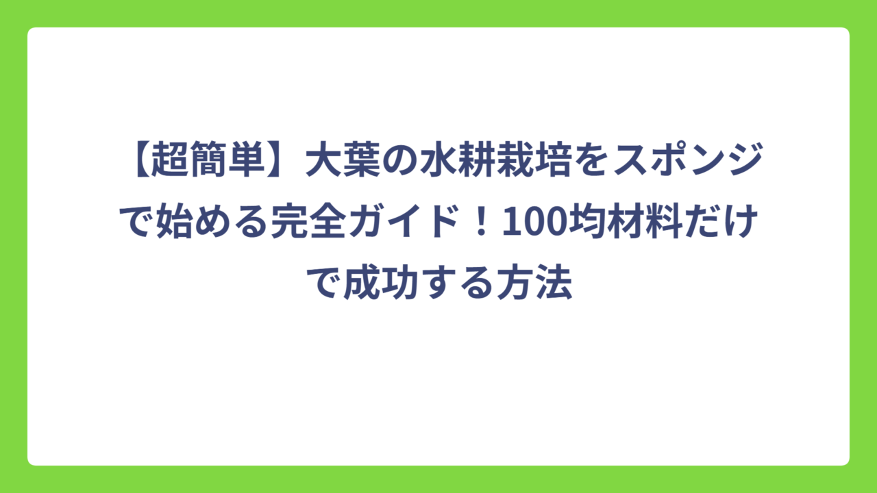 【超簡単】大葉の水耕栽培をスポンジで始める完全ガイド！100均材料だけで成功する方法