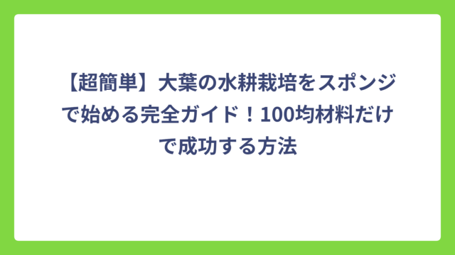 【超簡単】大葉の水耕栽培をスポンジで始める完全ガイド！100均材料だけで成功する方法