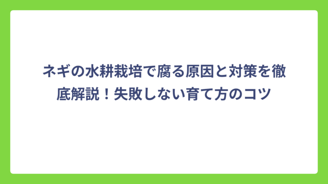 ネギの水耕栽培で腐る原因と対策を徹底解説！失敗しない育て方のコツ