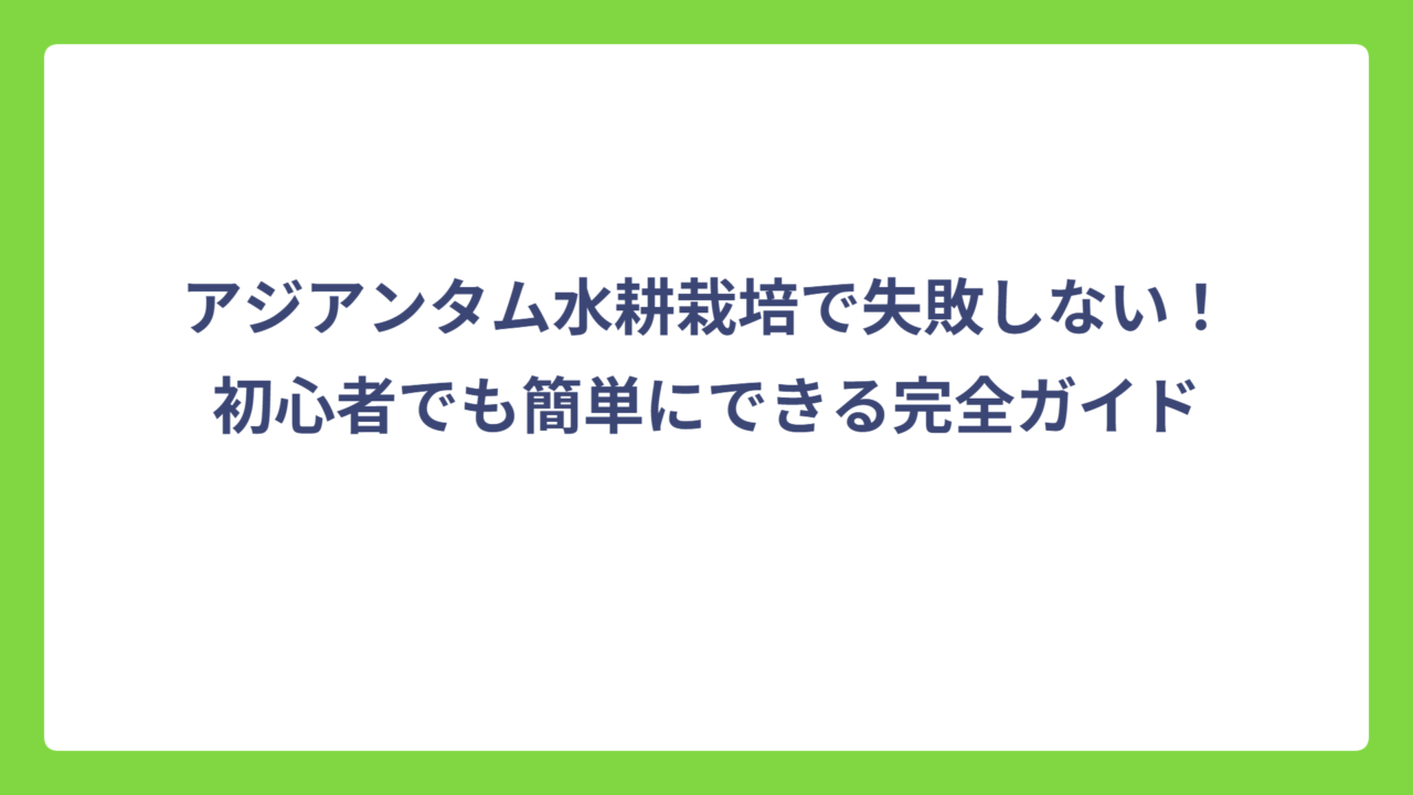 アジアンタム水耕栽培で失敗しない！初心者でも簡単にできる完全ガイド