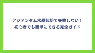 アジアンタム水耕栽培で失敗しない！初心者でも簡単にできる完全ガイド