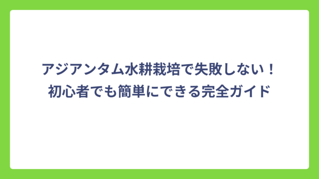 アジアンタム水耕栽培で失敗しない！初心者でも簡単にできる完全ガイド