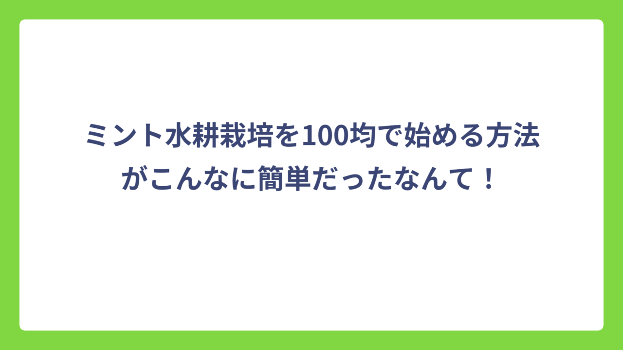 ミント水耕栽培を100均で始める方法がこんなに簡単だったなんて！