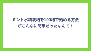 ミント水耕栽培を100均で始める方法がこんなに簡単だったなんて！