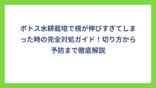 ポトス水耕栽培で根が伸びすぎてしまった時の完全対処ガイド！切り方から予防まで徹底解説