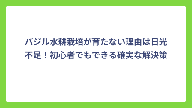 バジル水耕栽培が育たない理由は日光不足！初心者でもできる確実な解決策