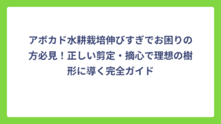 アボカド水耕栽培伸びすぎでお困りの方必見！正しい剪定・摘心で理想の樹形に導く完全ガイド