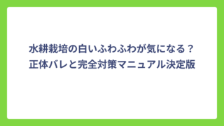 水耕栽培の白いふわふわが気になる？正体バレと完全対策マニュアル決定版