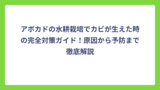 アボカドの水耕栽培でカビが生えた時の完全対策ガイド！原因から予防まで徹底解説