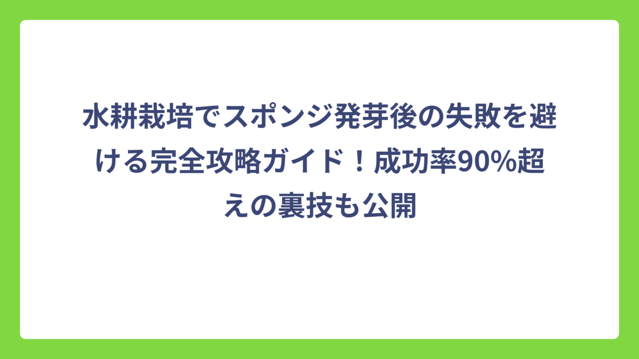 水耕栽培でスポンジ発芽後の失敗を避ける完全攻略ガイド！成功率90%超えの裏技も公開
