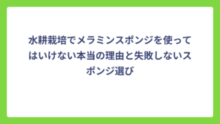 水耕栽培でメラミンスポンジを使ってはいけない本当の理由と失敗しないスポンジ選び